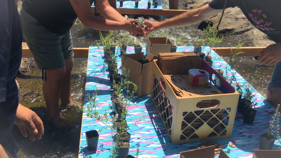 Seedling Reallocation Workshop led by artist Devon Tsuno, CURRENT:LA Water, July, 2016